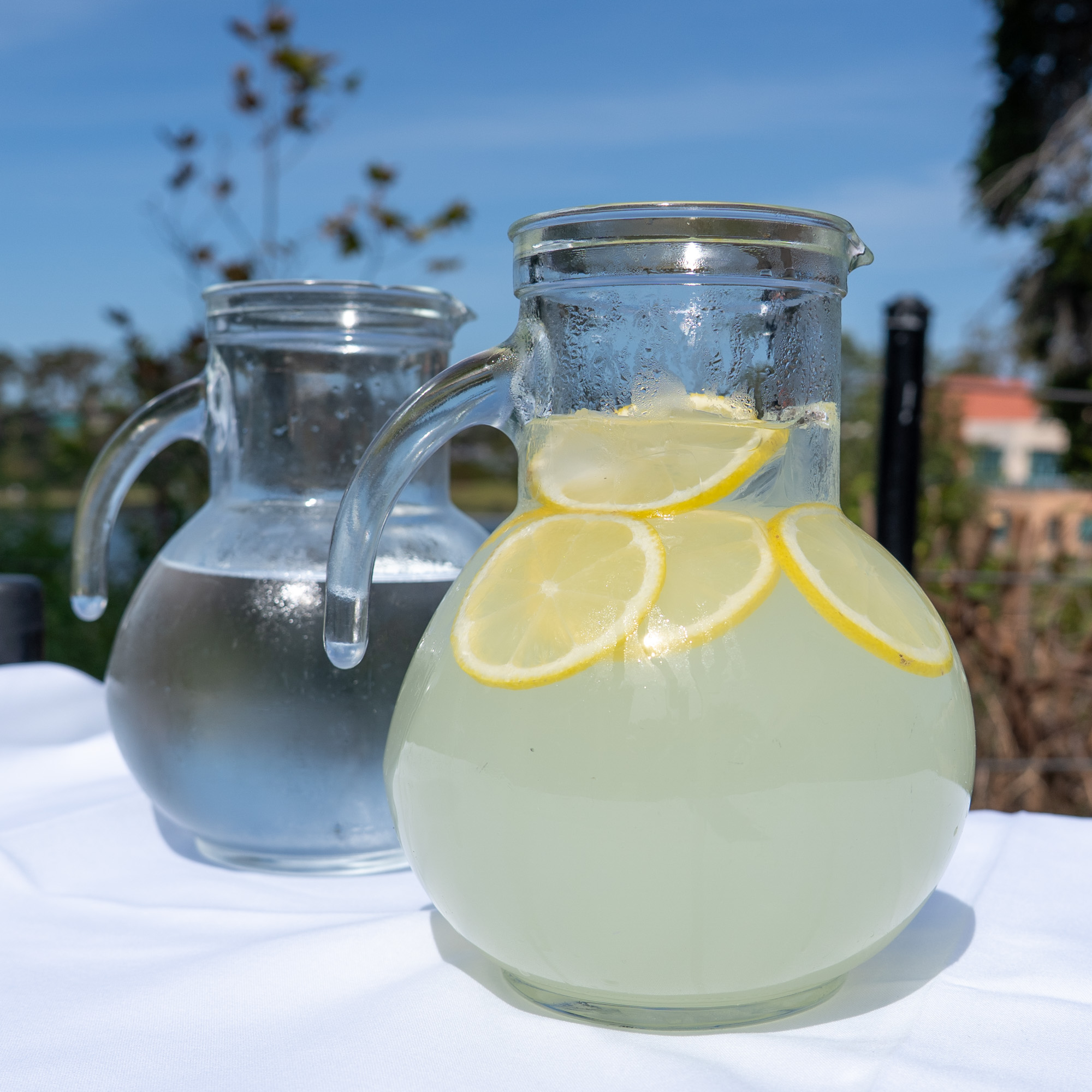 pitchers of ice water and lemonade with immersed lemon slices